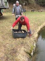 /album/nasady/img-1526-2-jpg/